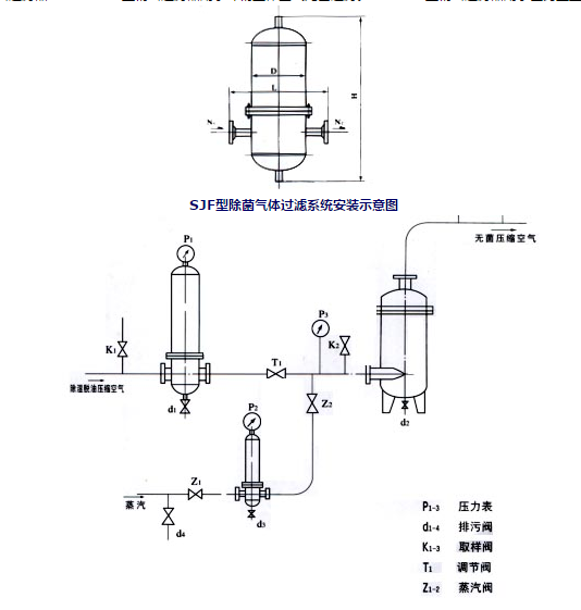 灭菌过滤器安装